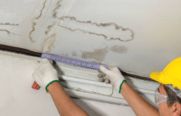 Affordable Water Damage Repair solutions in Wesson, MS